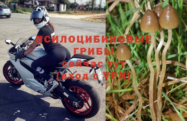 а пвп мука Аркадак