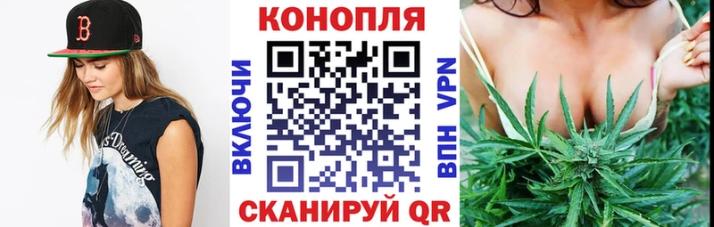 Бошки марихуана ГИДРОПОН  МЕГА ТОР  Старица 